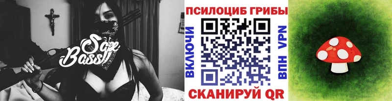 где купить   Чкаловск  Псилоцибиновые грибы MAGIC MUSHROOMS 